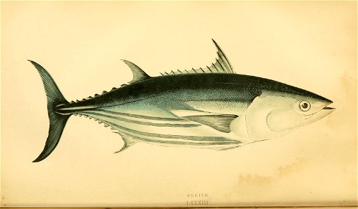 n159_w1150