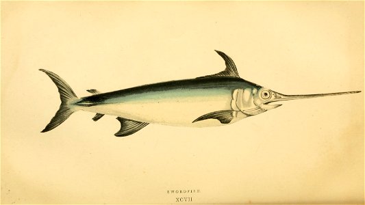 n235_w1150