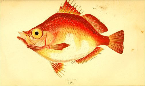 n230_w1150