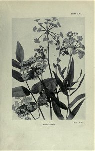 n106_w1150