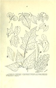 n16_w1150