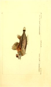 n142_w1150