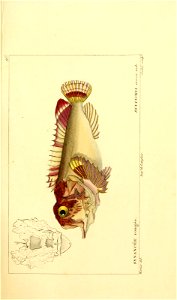 n172_w1150