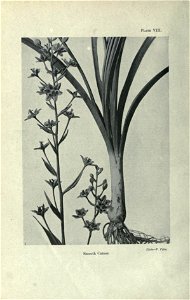 n45_w1150