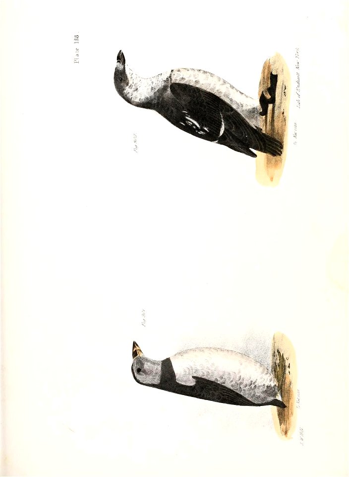 n672_w1150