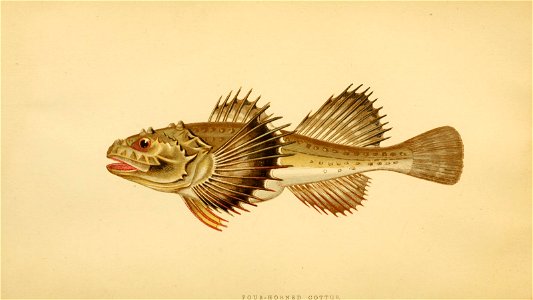n37_w1150