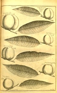 n192_w1150