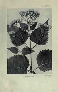n128_w1150