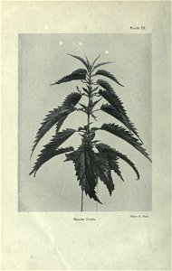 n49_w1150