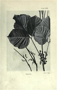 n92_w1150