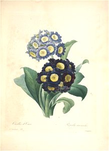 n107_w1150
