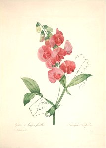 n122_w1150