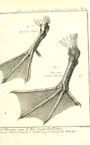 n504_w1150