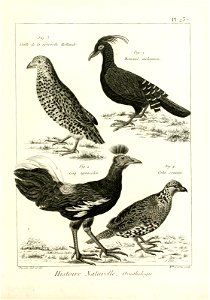 n482_w1150