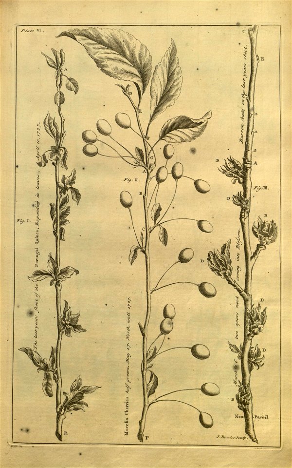 n171_w1150