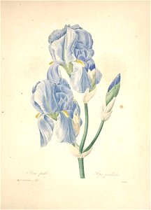 n125_w1150