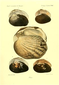 n858_w1150