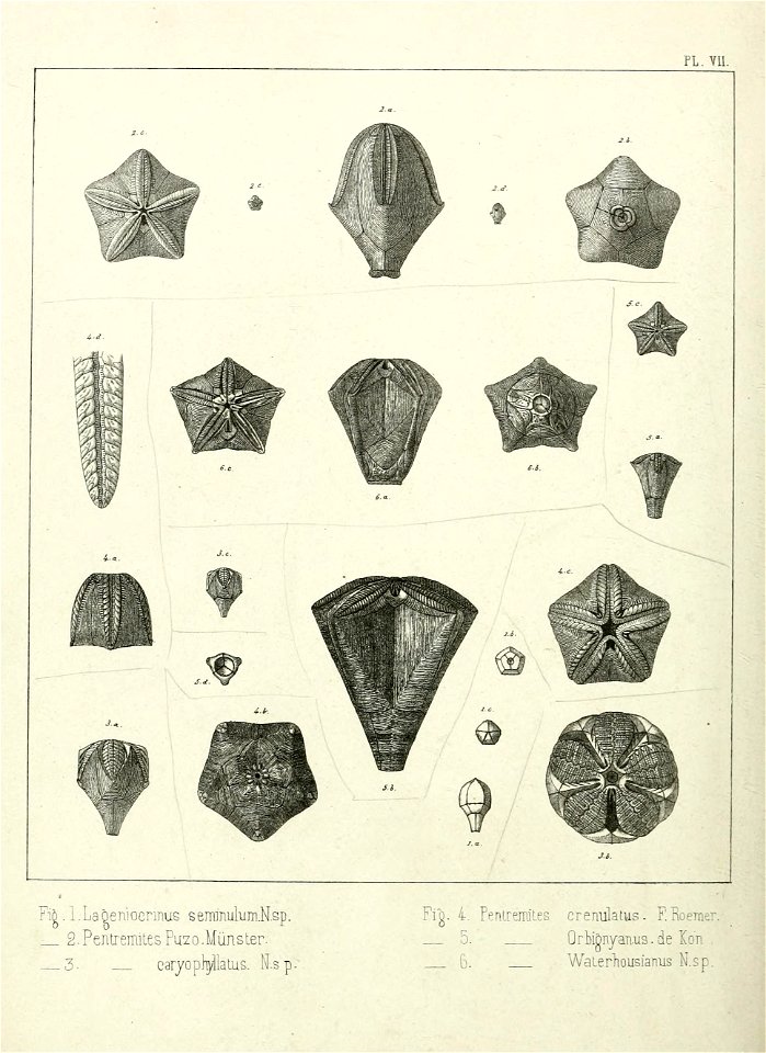 n251_w1150