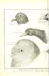 n507_w1150