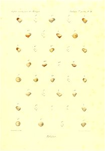 n842_w1150