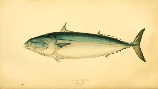 n173_w1150