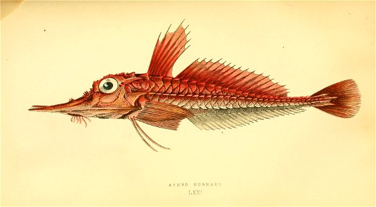 n76_w1150