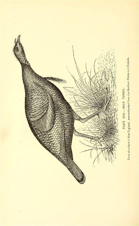n549_w1150
