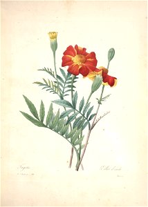 n123_w1150