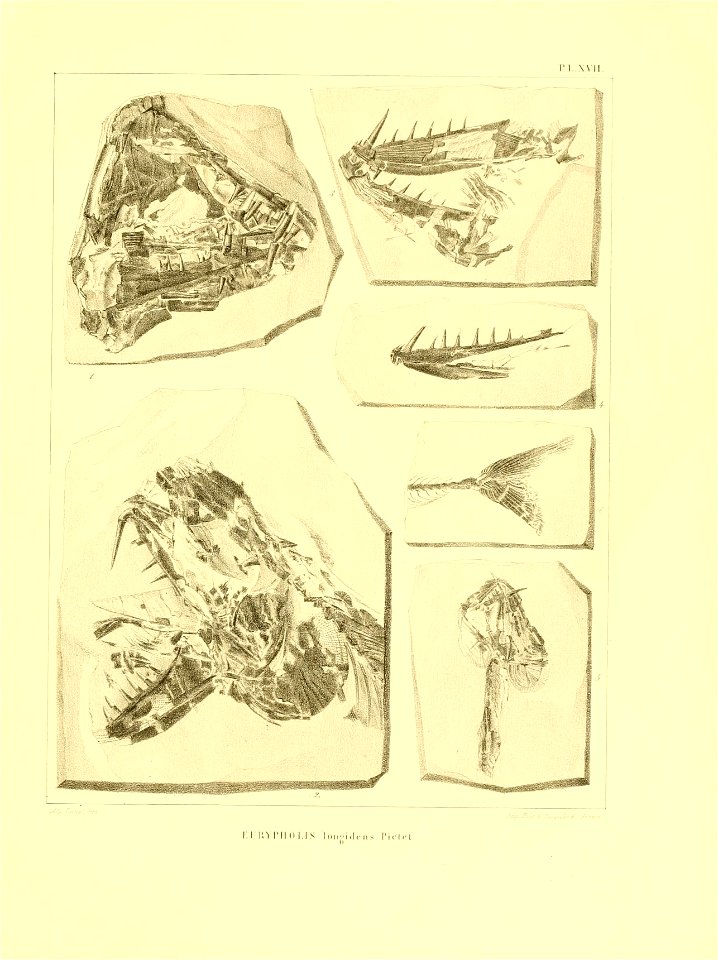 n160_w1150