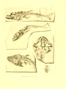 n158_w1150