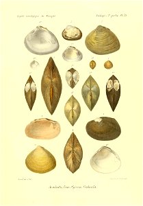 n898_w1150