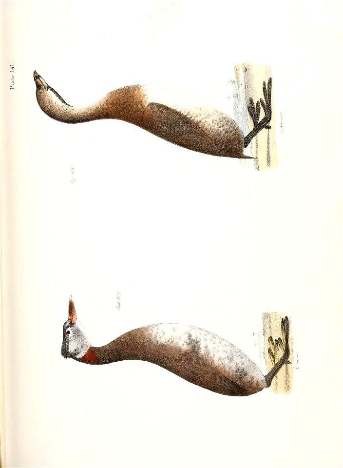 n678_w1150