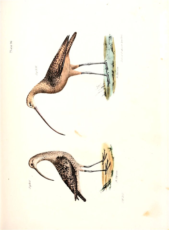 n588_w1150
