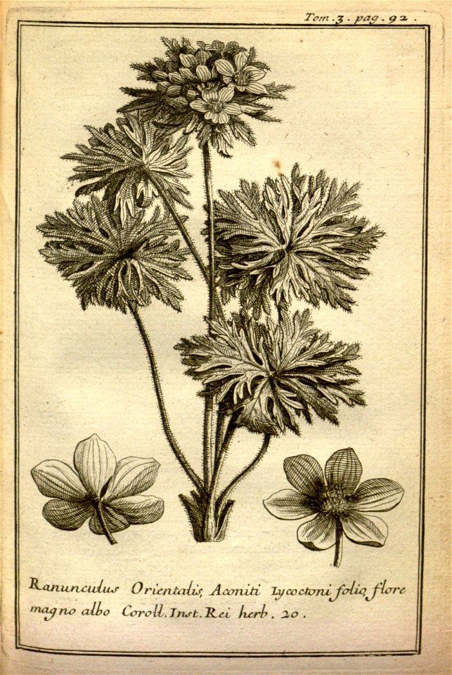 n104_w1150