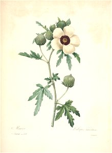 n156_w1150
