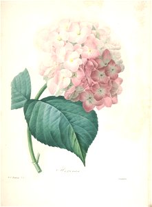 n141_w1150