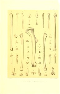 n358_w1150