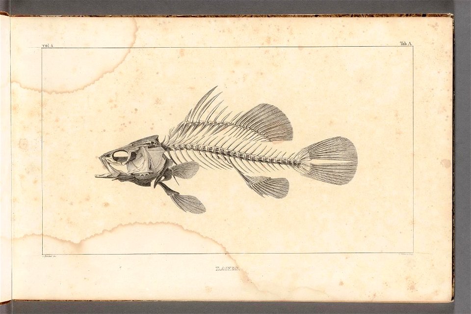 n5_w1150