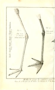n503_w1150