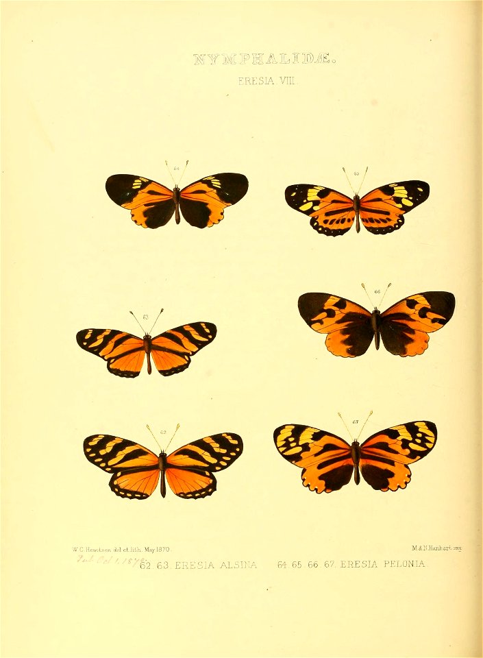n163_w1150