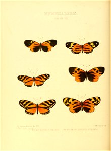 n163_w1150