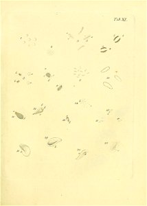 n458_w1150