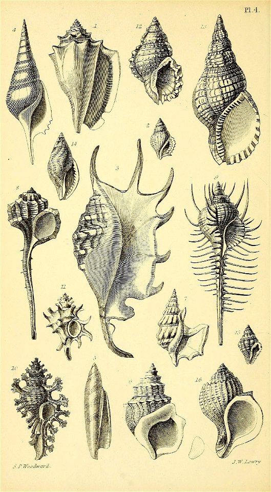n551_w1150