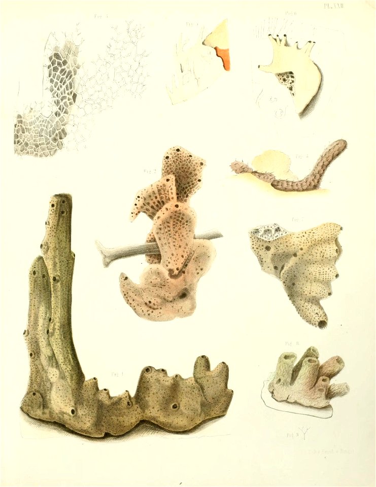 n172_w1150