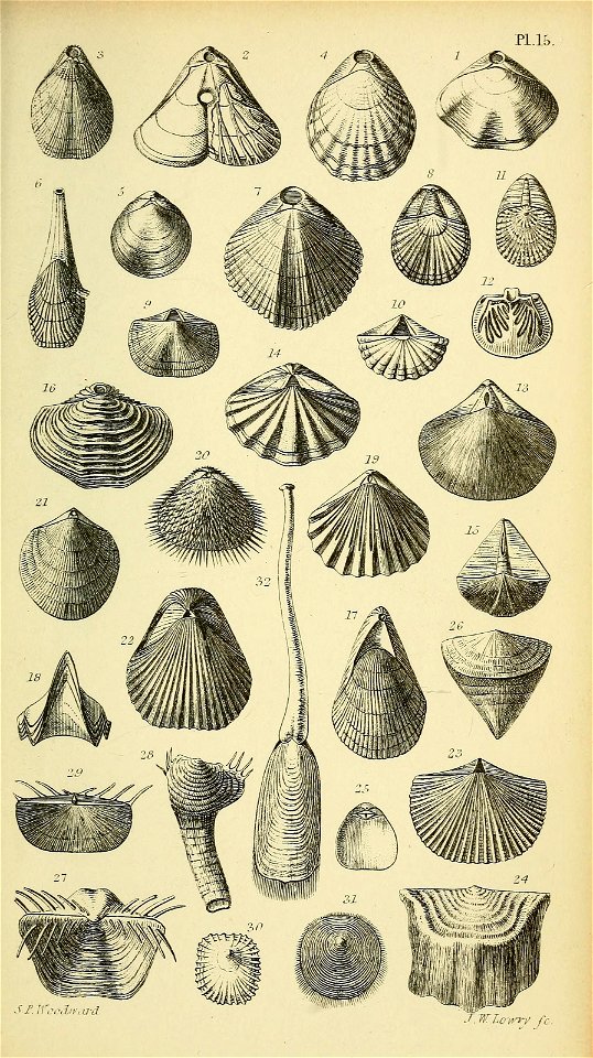 n584_w1150
