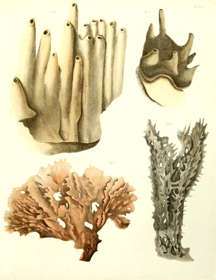 n166_w1150