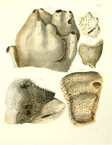 n136_w1150