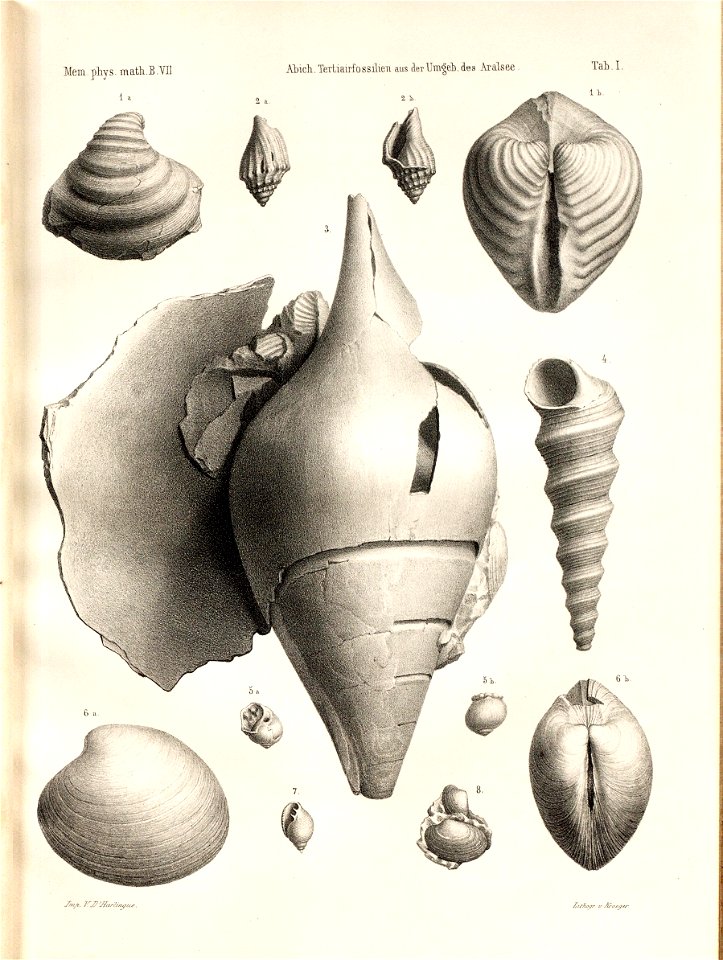 n46_w1150