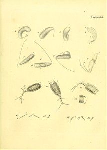 n494_w1150