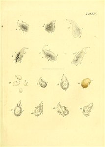 n464_w1150